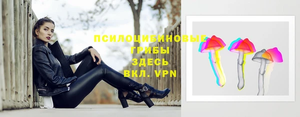 дмт Верея