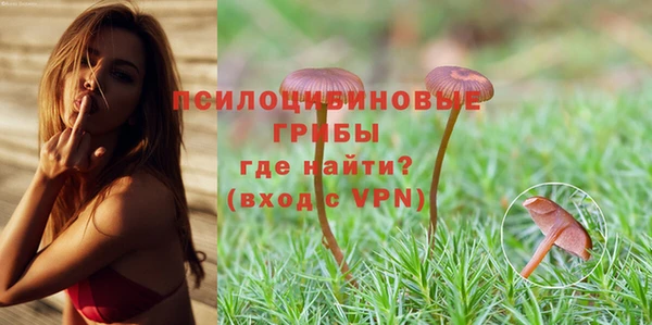 гашиш Бородино