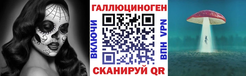 как найти закладки  Орехово-Зуево  Псилоцибиновые грибы мицелий 